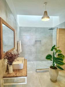 a bathroom with a shower and a sink and a potted plant at La Mera Ocean-View, with Pool and 2 stylish Bedroom in Shanzu