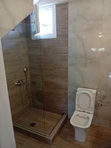 a bathroom with a shower and a toilet at GN summer guest house P in Leptokarya +9 photos