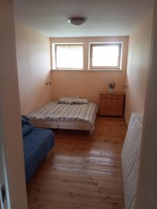 ein Schlafzimmer mit einem Bett und einem Fenster in der Unterkunft Pinka in Ēdole