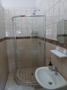 a bathroom with a shower and a sink at Tudor Manor in Middelburg +10 photos