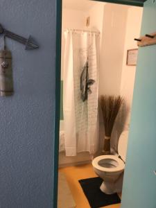 a bathroom with a toilet and a shower curtain at Chambre la paix in Payrac