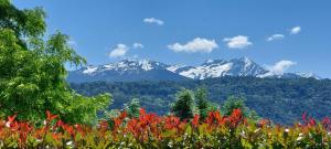 Příroda nedaleko apartmánu + 3 fotografie