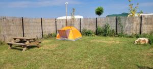 Gallery image of Makeeda Camping in Vama Veche
