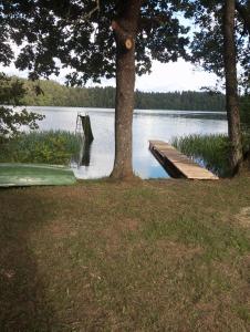 ein Steg an einem See neben einem Baum in der Unterkunft Pinka in Ēdole + 16 Fotos