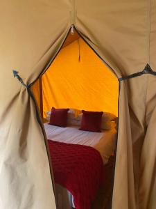 a bed in a tent with a red blanket at Cefn Crib Safari Tent in Machynlleth