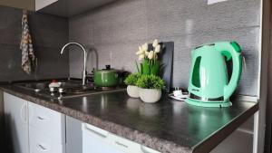 un bancone della cucina con un mixer verde e dei fiori sopra di Ski In Ski Out Tiamo apartment 402 at Gudauri Loft Hotel a Gudauri Altre 4 foto