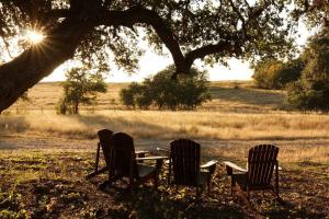 three chairs sitting under a tree in a field at Johnny Yurts - The Lavender in Johnson City