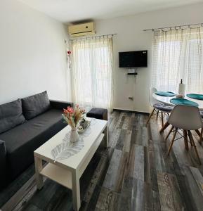 Televiisor ja/või meelelahutuskeskus majutusasutuses Apartments Tijana