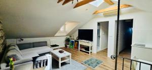 TV/trung tâm giải trí tại Old Town Port Apartments