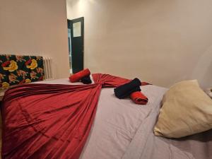 a bed with red and black pillows on it at Chez Paul au Rivet Paris in Le Plessis-Robinson +1 photo
