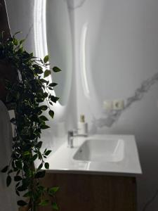 a bathroom sink with a potted plant next to it at Cómodo apartamento a un paso del centro de Salamanca La Posada Charra 6 APART-37-278 in Salamanca