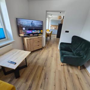 PrzygórzeにあるApartament z kominkiem w starej kamiennicyのリビングルーム(緑の椅子、薄型テレビ付)