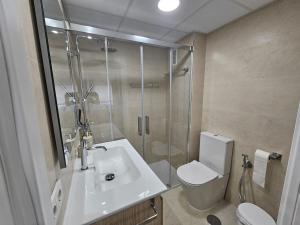 a bathroom with a shower and a sink and a toilet at Apartamento Reyes Católicos in Córdoba
