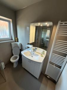 a bathroom with a toilet and a sink and a mirror at Ferienwohnung Luftkurort-Alpenparadies in Grassau +21 photos