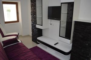 TV a/nebo společenská místnost v ubytování Apartment Igor