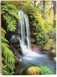 a waterfall in the middle of a forest at Studio confortable à Fort-de-France de 25 m² avec balcon privé in Fort-de-France