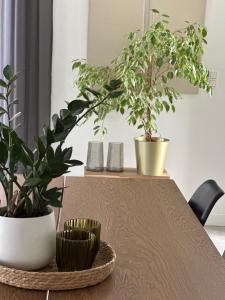 a table with two potted plants on top of it at Domum in Dilsen-Stokkem