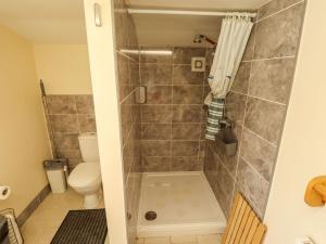 a bathroom with a shower with a toilet at Dakota in Lincoln