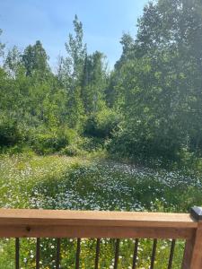 Gallery image of House in Schroeder, Minnesota in Schroeder +14 photos