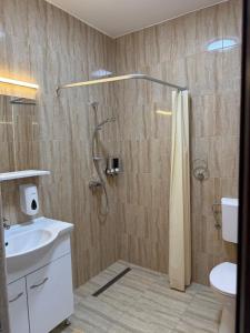 a bathroom with a shower and a sink at Pensiunea Agroturistica Regia in Hunedoara