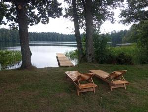 dos bancos de madera sentados junto a un lago en Viesu nams Pinka, en Alsunga