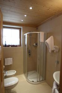 a bathroom with a shower and a toilet and a sink at Apartments Sol E Nef in Rocca Pietore