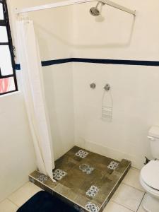 a bathroom with a shower and a toilet at Departamento #8 frente al Zócalo de Puebla en casona del siglo XVI in Puebla +15 photos