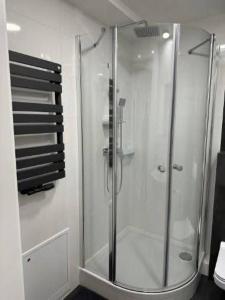 una doccia con una porta in vetro in un bagno di Pokoje weekendowe w centrum Lublina a Lublino