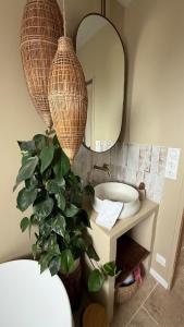 a bathroom with a sink and a mirror and a plant at Kaz Bohèm in Ambleteuse +6 photos