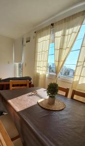 een tafel met een plant bovenop bij Apartamento Nilda in Villa María