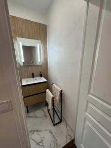 a bathroom with a sink and a mirror at Le Cottage du Centre in Boulogne-sur-Mer +4 photos