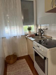Kuchyň nebo kuchyňský kout v ubytování Apartman MILICA, Bileća