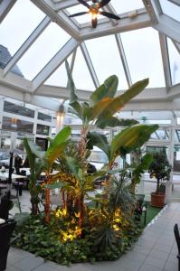 Zahrada ubytování Hotel-Café Kampe