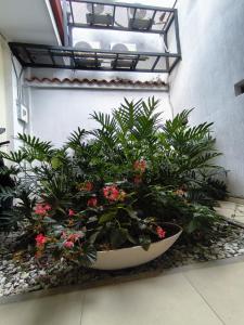 Gallery image of In Situ Hotel in Cali +33 photos