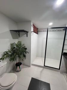 a bathroom with a toilet and a plant in it at La casona de la loma Ibague in Ibagué