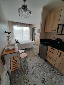 拉加里格Chabas Studio的一间带床铺的浴室和一间带水槽的厨房