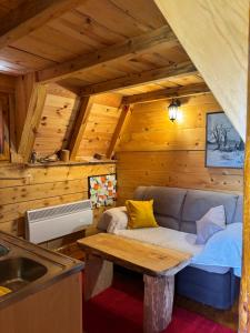 Eine Küche mit Sofa und Spüle in einer Hütte in der Unterkunft Cottage Bumblebee in Žabljak
