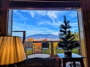 a view from the window of a balcony with a christmas tree at Glimpse of Bearadise in Gatlinburg