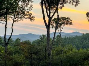 a group of trees with mountains in the background at Morgan Trail - Stunning Mountain Masterpiece in Epworth +36 photos