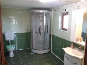 W łazience znajduje się prysznic, toaleta i umywalka. w obiekcie Pensiunea Ira Jurilovca w mieście Jurilovca