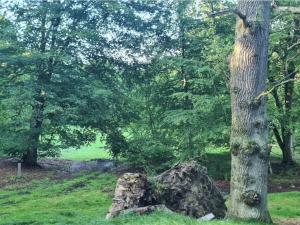 Gallery image of 4 person holiday home in Faxe Ladeplads-By Traum in Fakse Ladeplads +33 photos