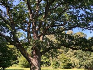 Gallery image of 4 person holiday home in Faxe Ladeplads-By Traum in Fakse Ladeplads