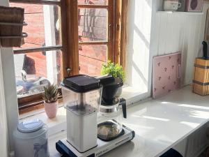 エーロスケービンにある4 person holiday home in Ærøskøbing-By Traumの窓際のカウンターに座るブレンダー
