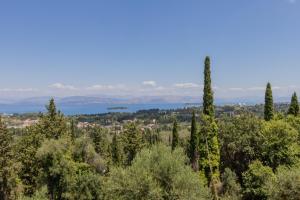 Příroda nedaleko prázdninového domu