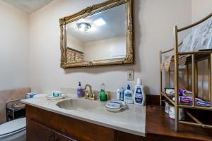 a bathroom with a sink and a mirror at Central 4BR Historic Gem Near Colleges in Lynchburg