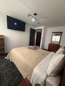 a bedroom with a bed and a tv on the wall at Vertiz apartment-hot tub - wifi- HiveNB in Mexico City