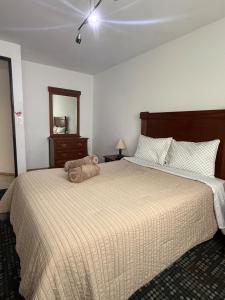 a bedroom with a large bed and a mirror at Vertiz apartment-hot tub - wifi- HiveNB in Mexico City
