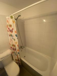 a bathroom with a tub and a toilet and a sink at Casa Laguna in Concepción +23 photos