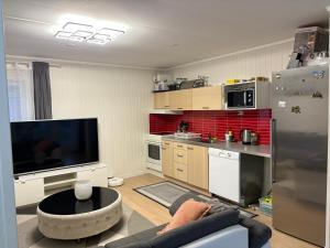 a living room with a person laying on a couch at Apartment in Bergen-Free parking & Air Conditioning in Bergen