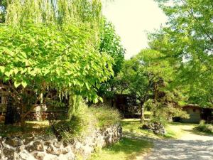 Ein Baum in einem Hof neben einer Steinmauer in der Unterkunft Chalet avec Terrasse et Salon de Jardin à Darbres - API-1-52-419 in Darbres